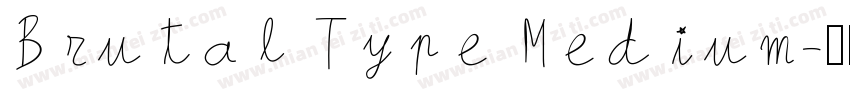 Brutal Type Medium字体转换